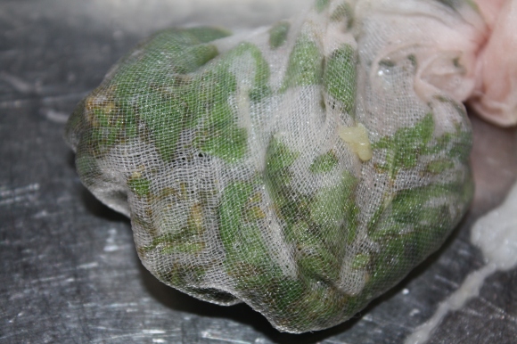 Mint Leaves wrapped in a muslin cloth bag